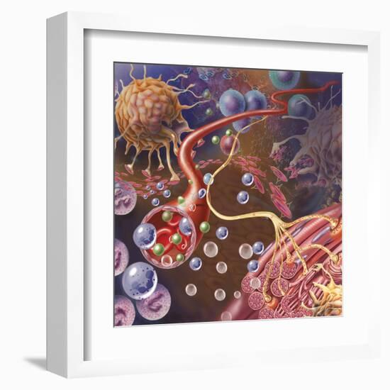 Nerve Ending, Seen in Lower Right, Sends Pain Message from Injured Muscle-null-Framed Art Print