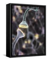 Nerve Synapse, Artwork-Equinox Graphics-Framed Stretched Canvas
