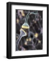 Nerve Synapse, Artwork-Equinox Graphics-Framed Premium Photographic Print