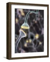 Nerve Synapse, Artwork-Equinox Graphics-Framed Photographic Print