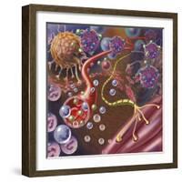 Nerve with Myelin Sheath, Seen in Lower Right, Connects with Muscle-null-Framed Art Print
