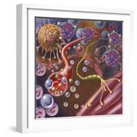 Nerve with Myelin Sheath, Seen in Lower Right, Connects with Muscle-null-Framed Art Print