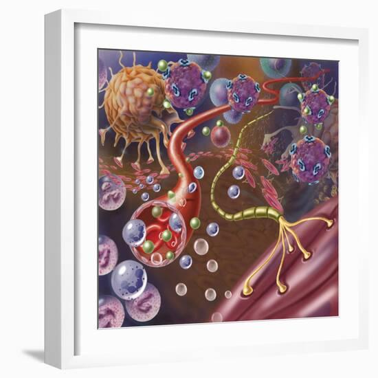 Nerve with Myelin Sheath, Seen in Lower Right, Connects with Muscle-null-Framed Art Print