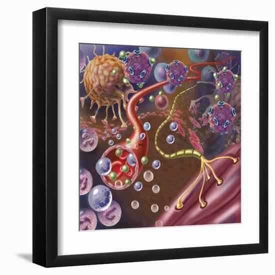 Nerve with Myelin Sheath, Seen in Lower Right, Connects with Muscle-null-Framed Art Print