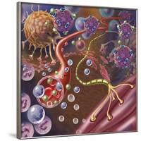 Nerve with Myelin Sheath, Seen in Lower Right, Connects with Muscle-null-Framed Art Print