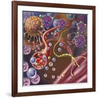 Nerve with Myelin Sheath, Seen in Lower Right, Connects with Muscle-null-Framed Art Print