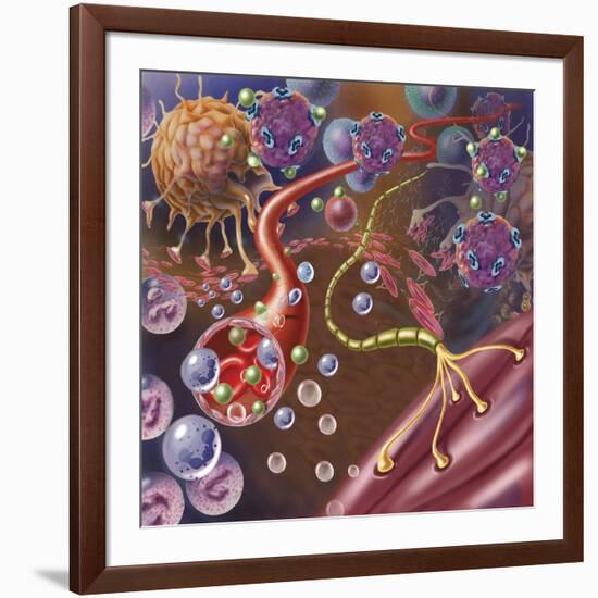 Nerve with Myelin Sheath, Seen in Lower Right, Connects with Muscle-null-Framed Art Print