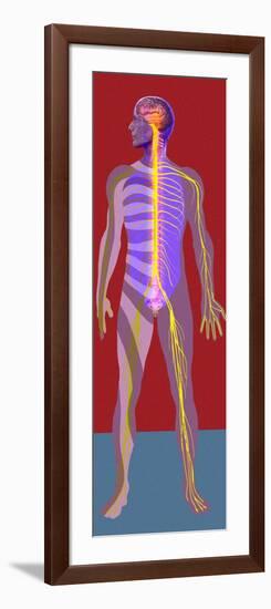 Nervous System, Artwork-Mehau Kulyk-Framed Photographic Print