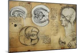 Nervous System Leonardo Da Vinci's Drawing-null-Mounted Giclee Print