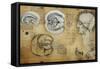 Nervous System Leonardo Da Vinci's Drawing-null-Framed Stretched Canvas