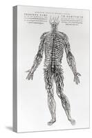 Nervous System-Andreas Vesalius-Stretched Canvas