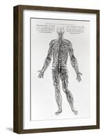 Nervous System-Andreas Vesalius-Framed Giclee Print