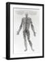 Nervous System-Andreas Vesalius-Framed Giclee Print