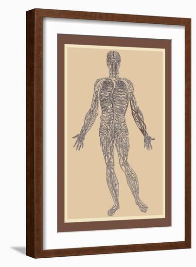 Nervous System-Andreas Vesalius-Framed Art Print