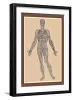 Nervous System-Andreas Vesalius-Framed Art Print