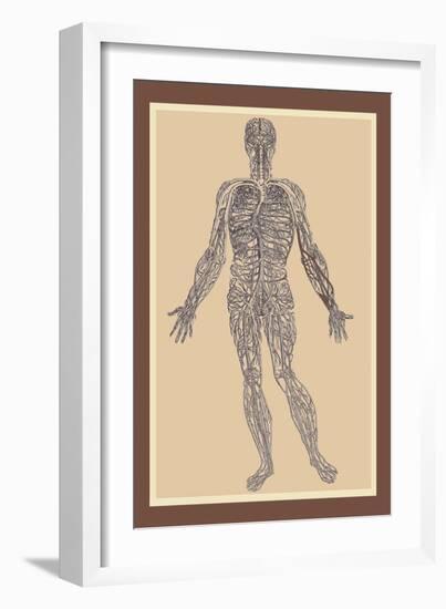 Nervous System-Andreas Vesalius-Framed Art Print