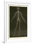 Nervous System-Leveille-Framed Giclee Print