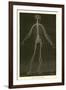 Nervous System-Leveille-Framed Giclee Print