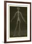 Nervous System-Leveille-Framed Giclee Print