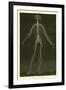 Nervous System-Leveille-Framed Giclee Print