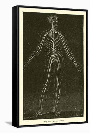 Nervous System-Leveille-Framed Stretched Canvas