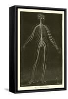 Nervous System-Leveille-Framed Stretched Canvas