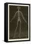 Nervous System-Leveille-Framed Stretched Canvas