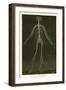 Nervous System-Leveille-Framed Giclee Print