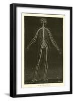 Nervous System-Leveille-Framed Giclee Print