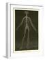 Nervous System-Leveille-Framed Giclee Print