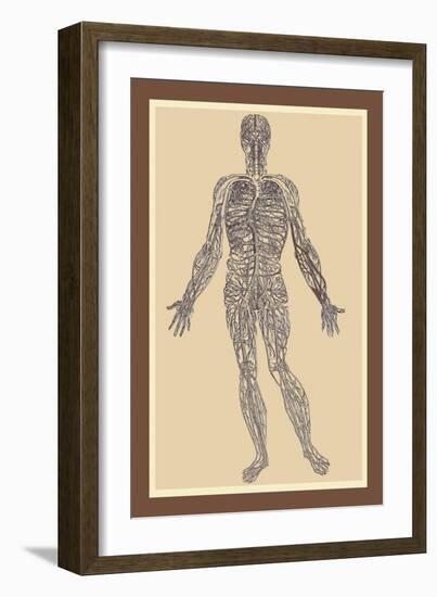 Nervous System-Andreas Vesalius-Framed Art Print