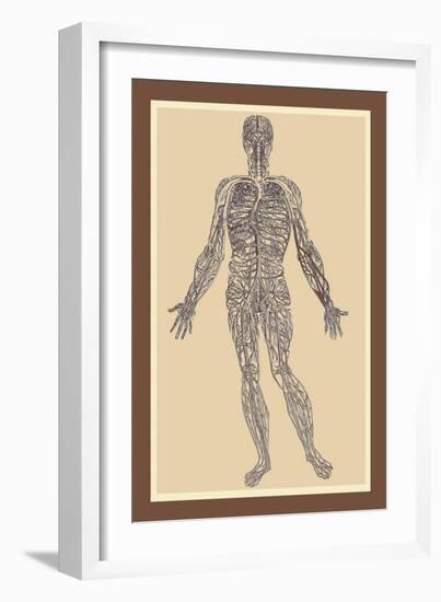 Nervous System-Andreas Vesalius-Framed Art Print