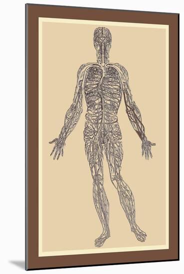 Nervous System-Andreas Vesalius-Mounted Art Print
