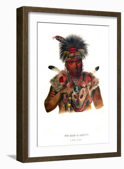 Nesouaquoit ('The bear in the forks of a tree')-Charles Bird King-Framed Giclee Print
