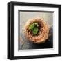 Nest 2-Glen and Gayle Wans-Framed Giclee Print