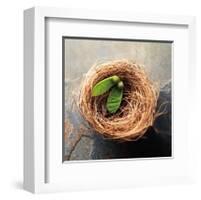 Nest 2-Glen and Gayle Wans-Framed Giclee Print