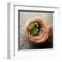 Nest 2-Glen and Gayle Wans-Framed Giclee Print