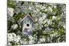 Nest Box in Blooming Sugartyme Crabapple Tree, Marion, Illinois, Usa-Richard ans Susan Day-Mounted Photographic Print