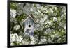 Nest Box in Blooming Sugartyme Crabapple Tree, Marion, Illinois, Usa-Richard ans Susan Day-Framed Photographic Print