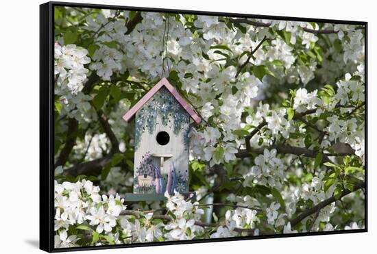 Nest Box in Blooming Sugartyme Crabapple Tree, Marion, Illinois, Usa-Richard ans Susan Day-Framed Stretched Canvas