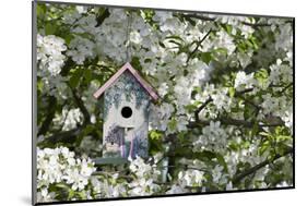 Nest Box in Blooming Sugartyme Crabapple Tree, Marion, Illinois, Usa-Richard ans Susan Day-Mounted Photographic Print