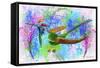 Nest Colors-Ata Alishahi-Framed Stretched Canvas