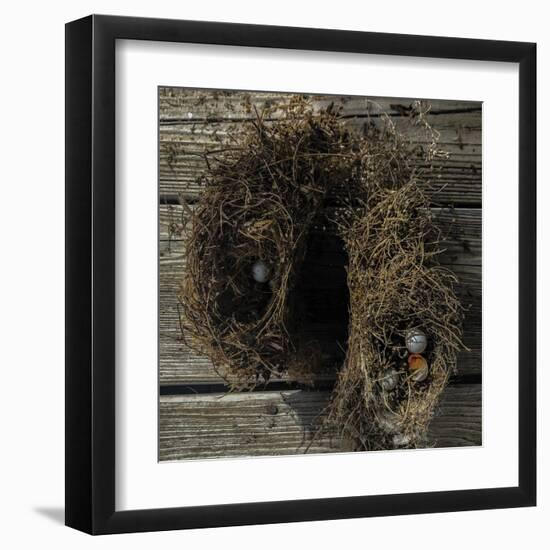 Nest Forage-Sarah Hart Morgan-Framed Giclee Print