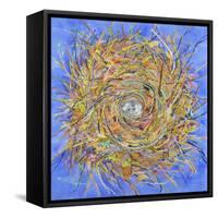 Nest III-Vortex-Sharon Pitts-Framed Stretched Canvas