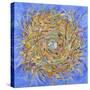 Nest III-Vortex-Sharon Pitts-Stretched Canvas