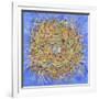 Nest III-Vortex-Sharon Pitts-Framed Giclee Print