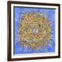 Nest III-Vortex-Sharon Pitts-Framed Giclee Print