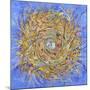 Nest III-Vortex-Sharon Pitts-Mounted Giclee Print