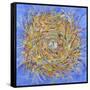 Nest III-Vortex-Sharon Pitts-Framed Stretched Canvas