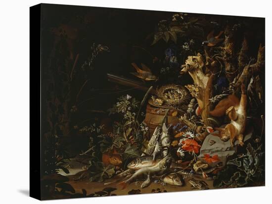 Nest of Redstarts with White Head, Undated-Abraham Mignon-Stretched Canvas